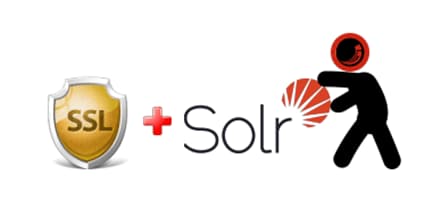 How to enable solr SSL